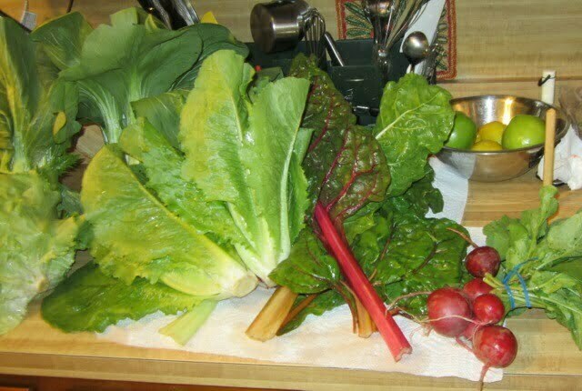 CSA Vegetables Photo
