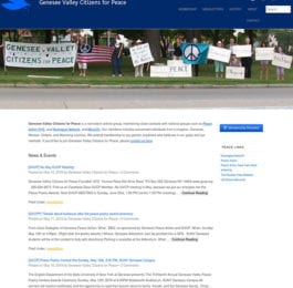 website screenshot - gvcp.org