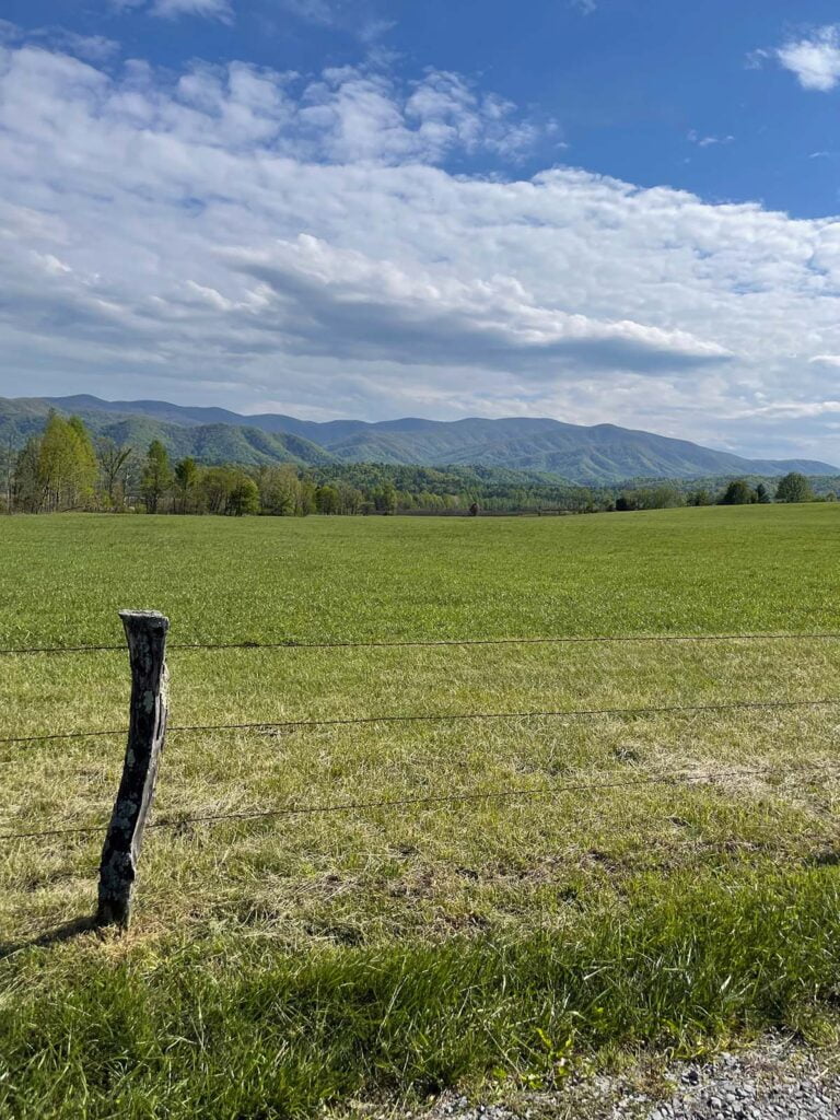 Mountain and meadown at Smoky Mountain National Park