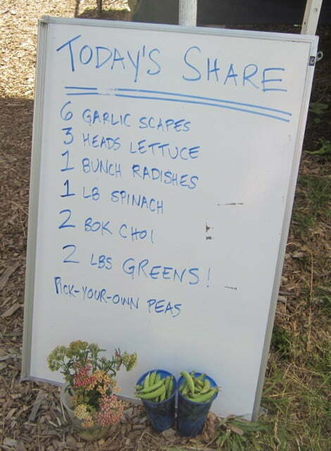 CSA Farm List of food on a whiteboard
