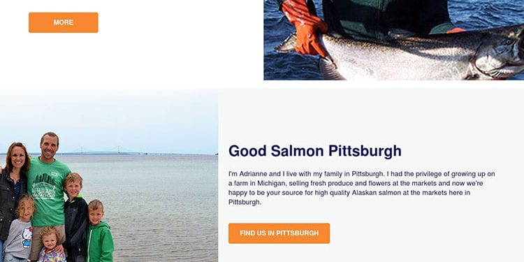 Goodsalmon.com portfolio link